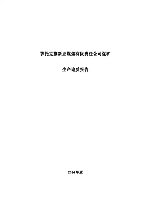 煤矿生产地质报告