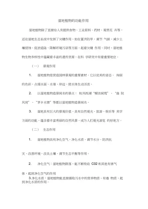 湿地植物的功能作用