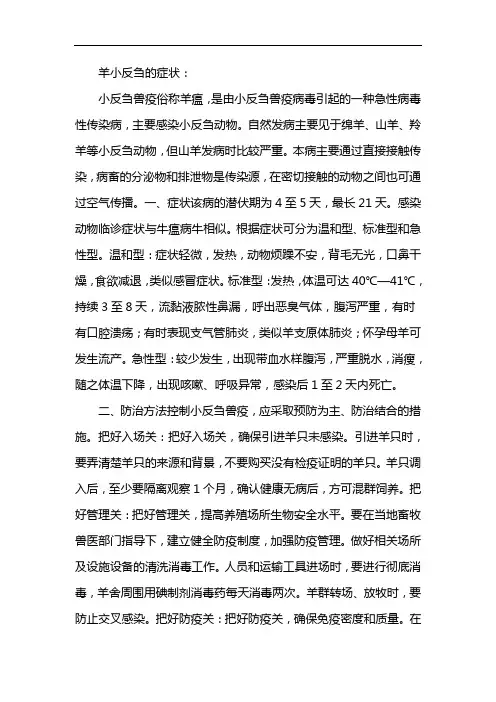 羊小反刍的症状