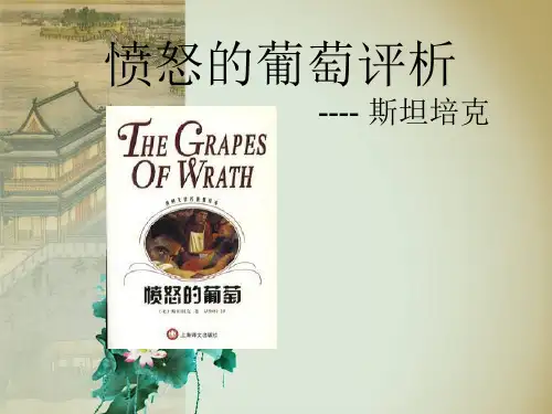 国外作品赏析愤怒的葡萄评析