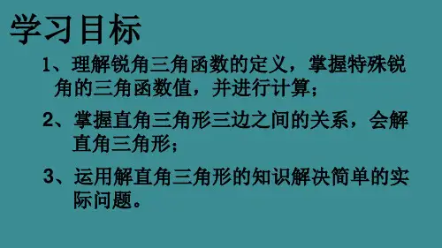 锐角三角函数复习课.ppt