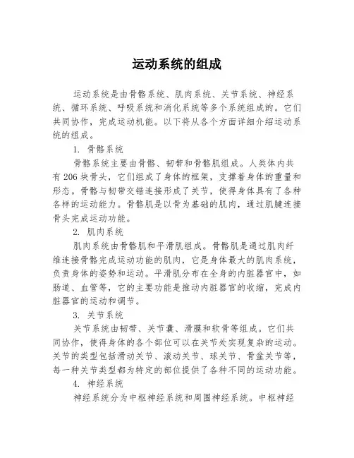 运动系统的组成