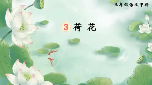 部编版小学语文三年级下册第3课《荷花》优质课件