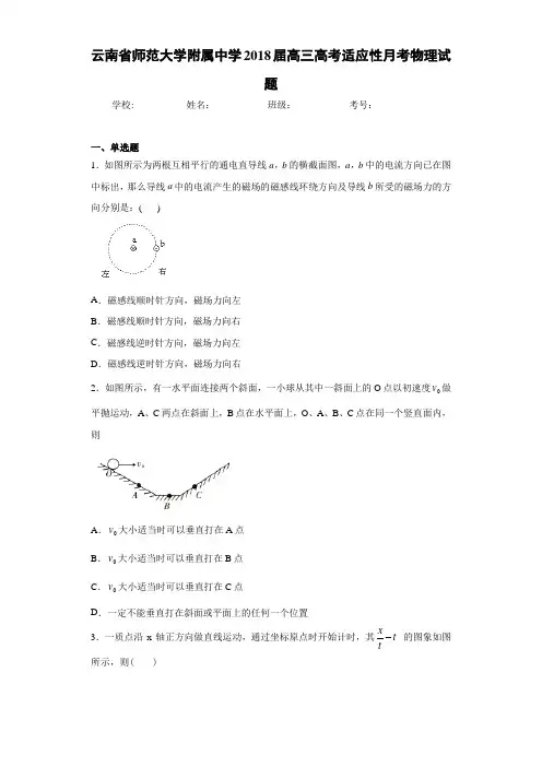 云南省师范大学附属中学2021届高三高考适应性月考物理试题