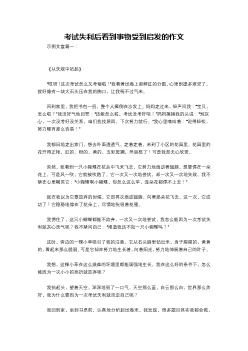 考试失利后看到事物受到启发的作文
