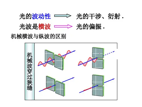 大学物理  11.8 光的偏振