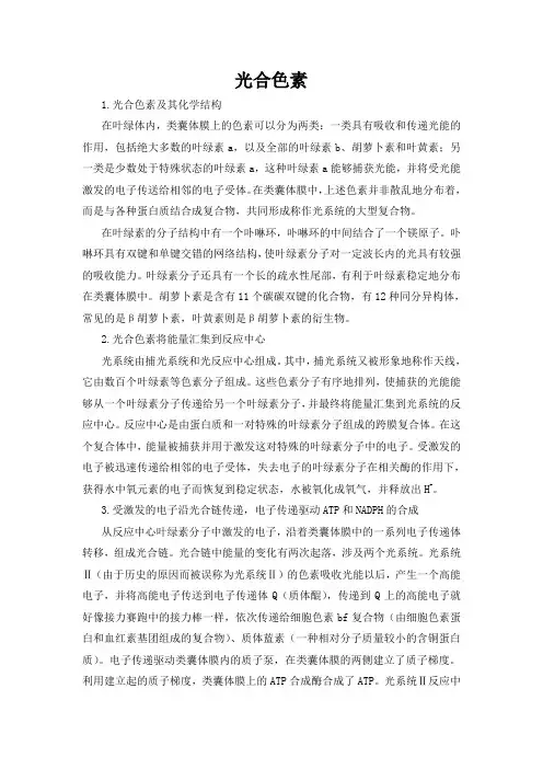文档：光合色素