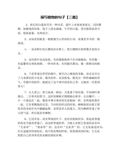 描写植物的句子【三篇】