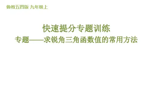 专题——求锐角三角函数值的常用方法+课件+2024-2025学年鲁教版(五四制)九年级数学上册