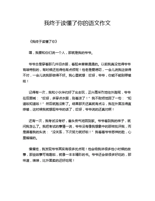 我终于读懂了你的语文作文