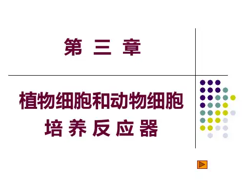 动物细胞和植物细胞培养反应器