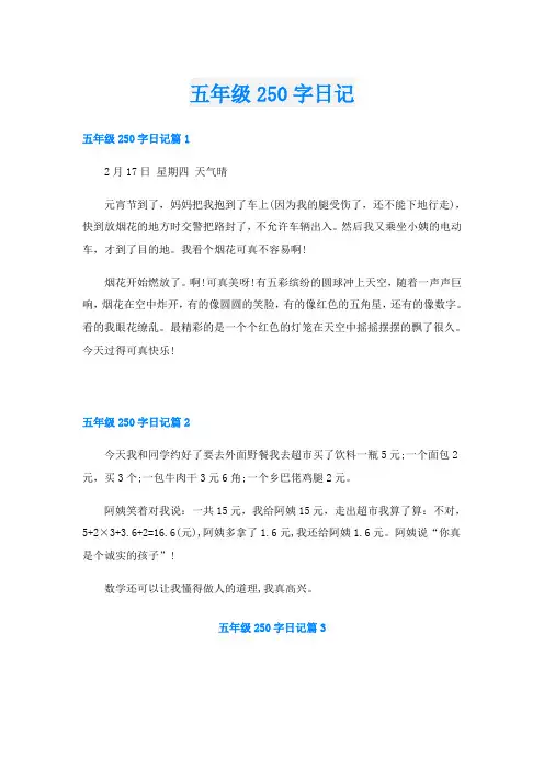 五年级250字日记