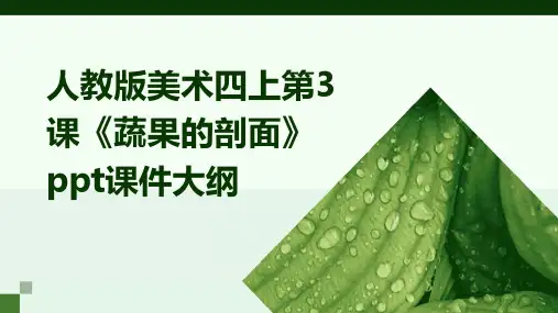 人教版美术四上第3课《蔬果的剖面》课件1