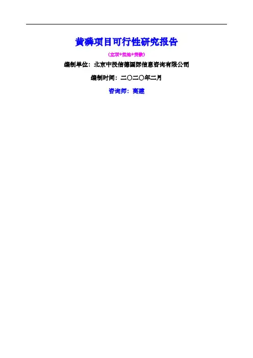 黄磷项目可行性研究报告