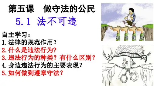 5.2 预防犯罪-道德与法治八年级上册 课件(32张)