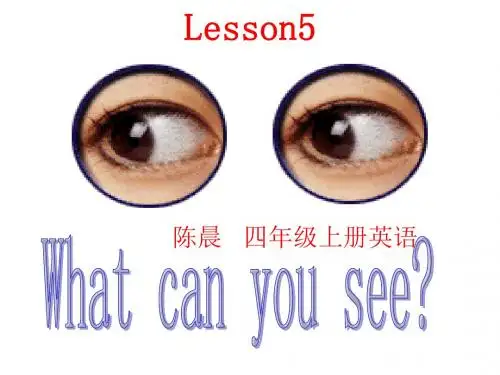 科普版四年级上册英语第五课whatcanyousee课件.ppt