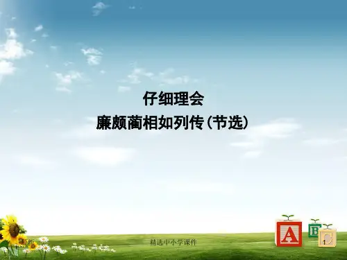 精选-高中语文专题4寻觅文言津梁仔细理会廉颇蔺相如列传节选课件苏教版必修3