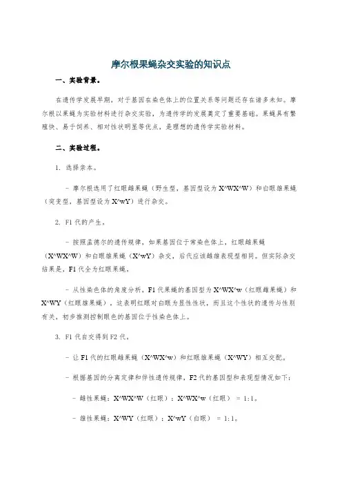 摩尔根果蝇杂交实验的知识点