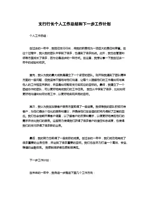 支行行长个人工作总结和下一步工作计划