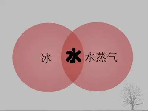苏科版八年级物理--上册--2.1 物质的三态  温度的测量一等奖优秀课件