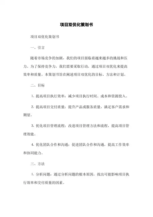项目双优化策划书