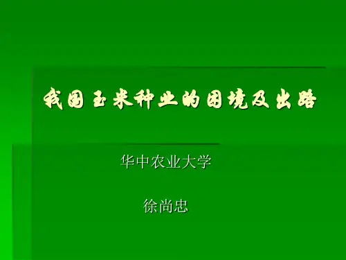 我国玉米种业的困境及出路PPt