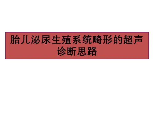 胎儿泌尿生殖系统畸形的超声诊断思路课件