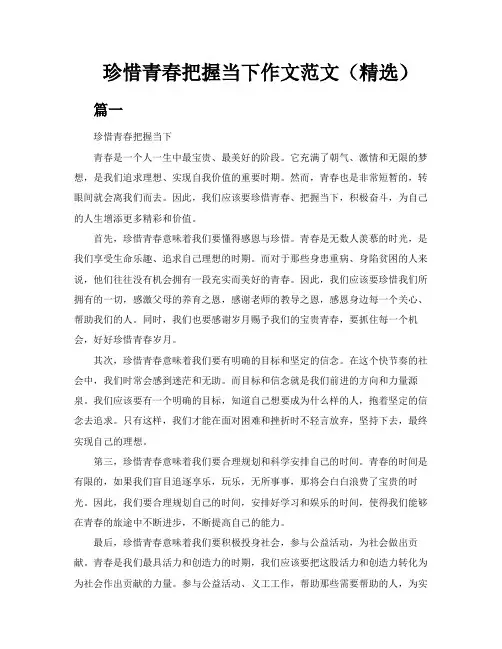 珍惜青春把握当下作文范文(精选3篇)