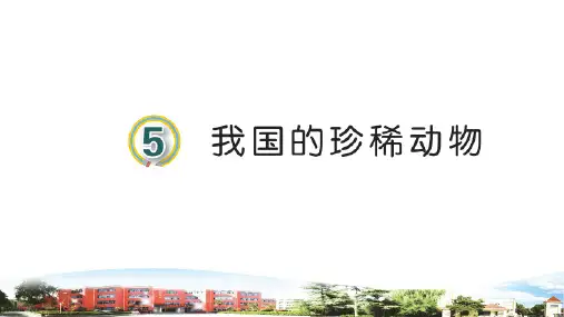 5.《我国的珍稀动物》课件
