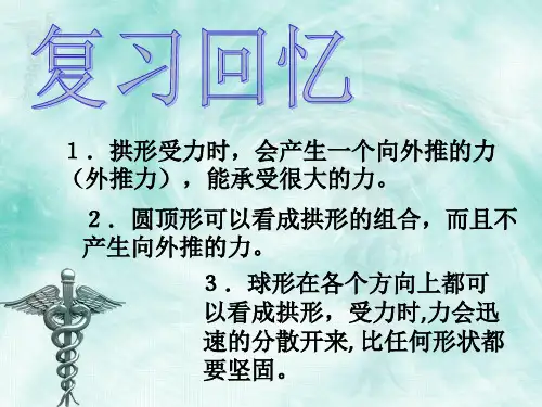 六年级上册科学课件 - 2.5 做框架  教科版 (4) (共25张PPT)