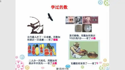 有理数的定义和分类PPT课件