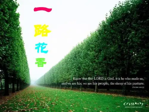 一路花香ppt课件