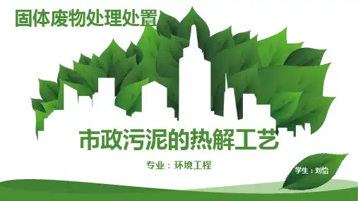 市政污泥的热解