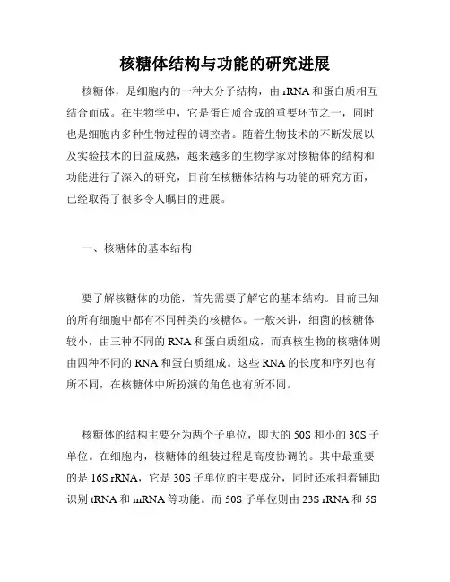 核糖体结构与功能的研究进展