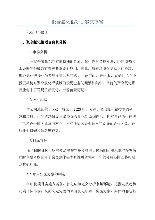 聚合氯化铝项目实施方案