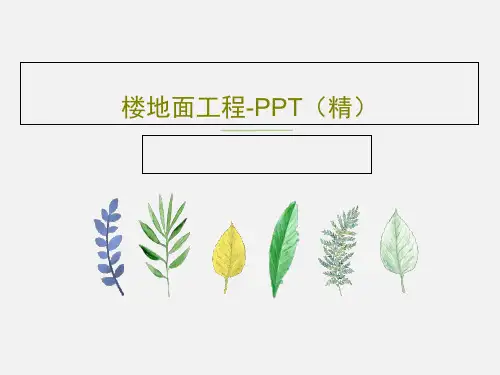 楼地面工程-PPT(精)共18页