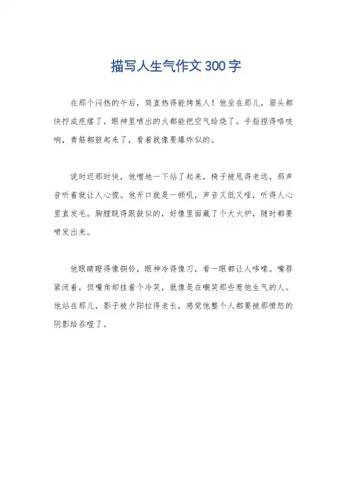 描写人生气作文300字