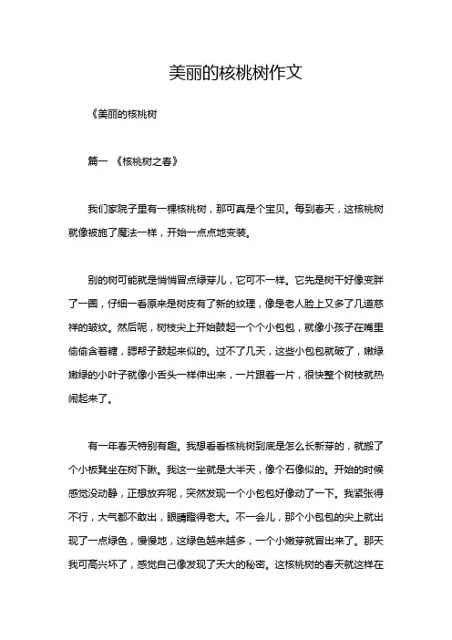 美丽的核桃树作文