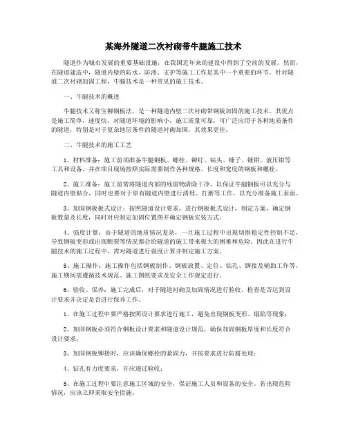 某海外隧道二次衬砌带牛腿施工技术