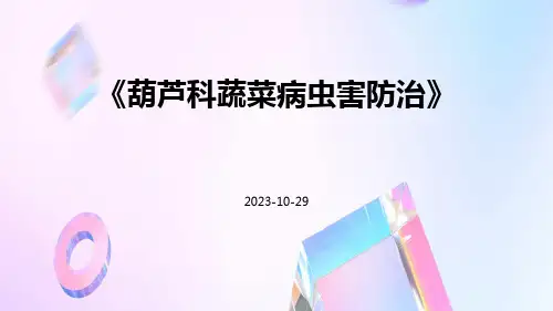 葫芦科蔬菜病虫害防治