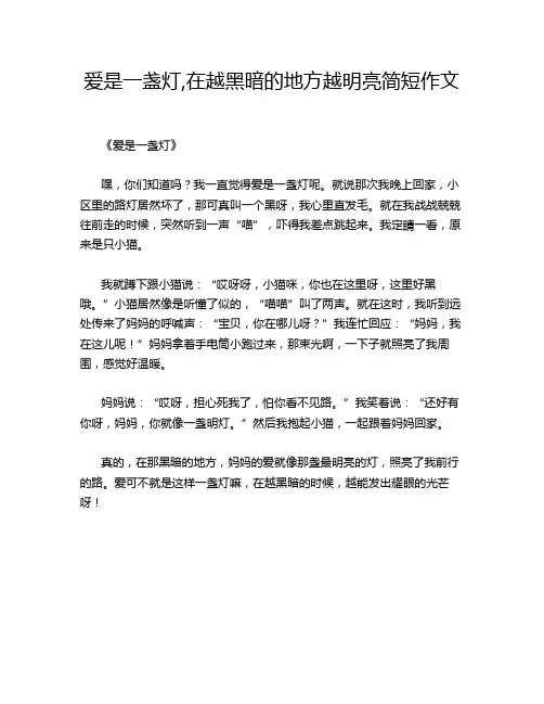 爱是一盏灯,在越黑暗的地方越明亮简短作文