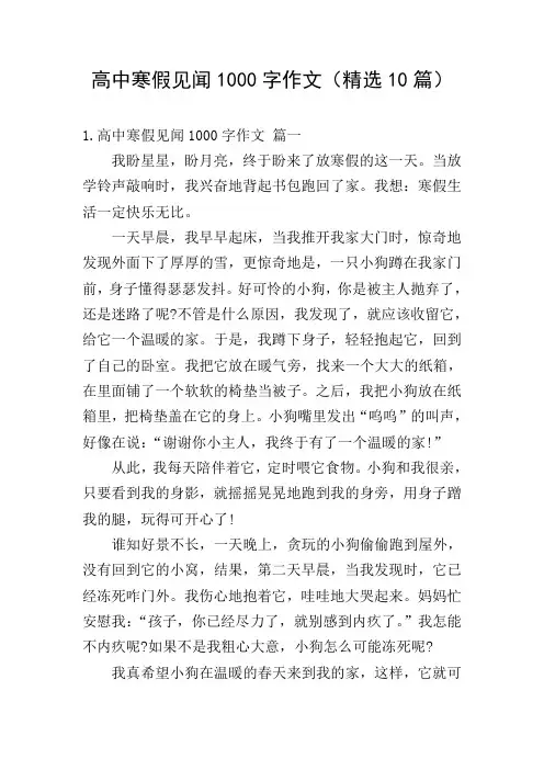 高中寒假见闻1000字作文(精选10篇)
