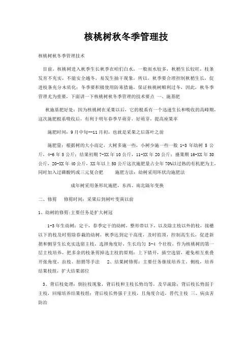 核桃树秋冬季管理技