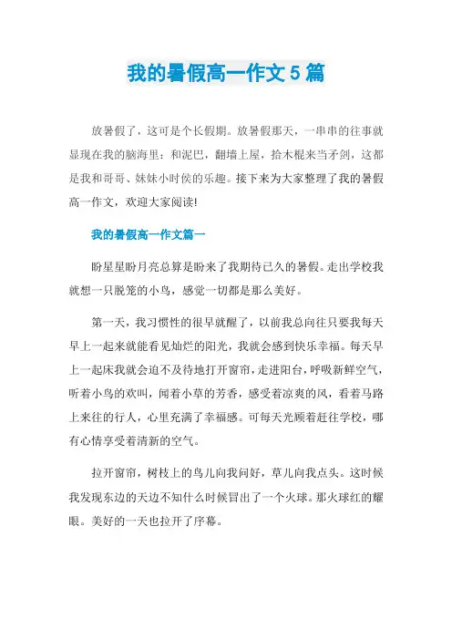 我的暑假高一作文5篇