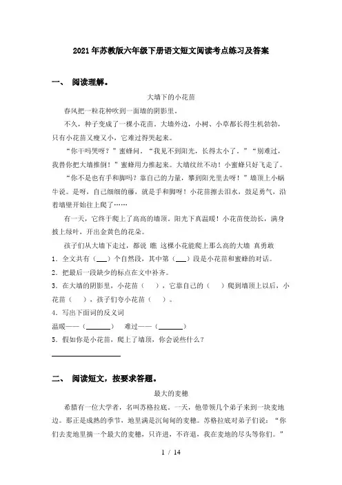 2021年苏教版六年级下册语文短文阅读考点练习及答案