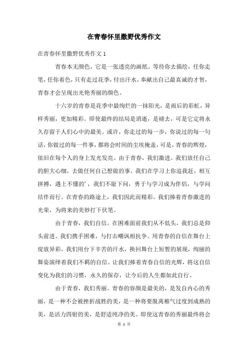 在青春怀里撒野优秀作文