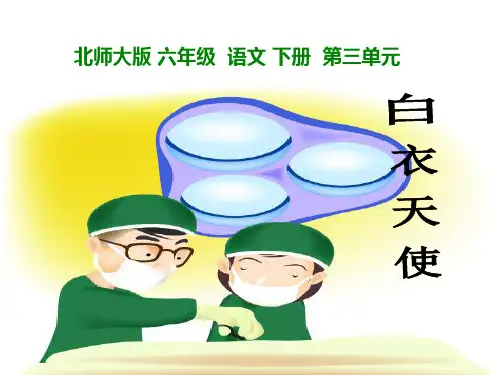 语文六年级下北师大版《白衣天使》课件(16张)-2