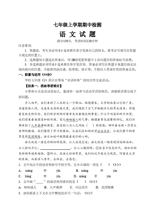 山东省泰安市新泰市2024-2025学年七年级上学期11月期中语文试题(含答案)