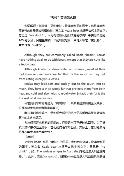 “考拉”英语怎么说