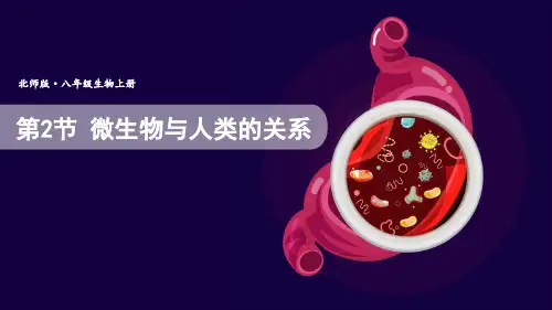 《微生物与人类的关系》PPT课件 北师版生物